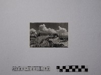 黃則修攝野柳地景藏品圖，第1張