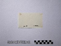 黃則修攝野柳地景藏品圖，第2張