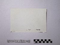 黃則修攝野柳地景藏品圖，第2張