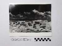 黃則修攝野柳地景藏品圖，第1張