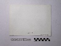 黃則修攝野柳地景藏品圖，第2張