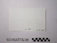 黃則修攝野柳地景藏品圖，第2張