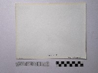 黃則修攝野柳地景藏品圖，第2張