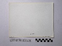 黃則修攝野柳地景藏品圖，第2張