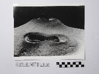 黃則修攝野柳地景藏品圖，第1張