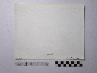 黃則修攝野柳地景藏品圖，第2張