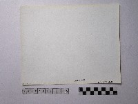 黃則修攝野柳地景藏品圖，第2張