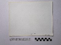 黃則修攝野柳地景藏品圖，第2張