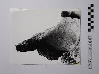 黃則修攝野柳地景藏品圖，第1張