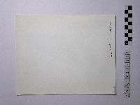 黃則修攝野柳地景藏品圖，第2張