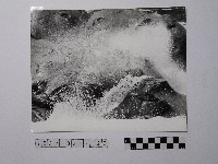 黃則修攝野柳地景藏品圖，第1張