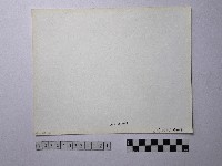 黃則修攝野柳地景藏品圖，第2張