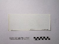 黃則修攝野柳地景藏品圖，第2張