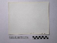 黃則修攝野柳地景藏品圖，第2張