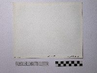 黃則修攝野柳地景藏品圖，第2張