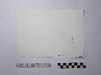 黃則修攝野柳地景藏品圖，第2張