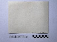 黃則修攝野柳地景藏品圖，第2張