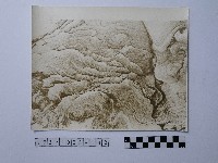 黃則修攝野柳地景藏品圖，第1張