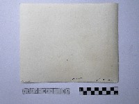 黃則修攝野柳地景藏品圖，第2張