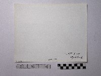 黃則修攝野柳地景藏品圖，第2張