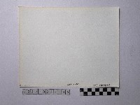 黃則修攝野柳地景藏品圖，第2張