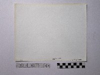 黃則修攝野柳地景藏品圖，第2張