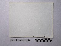 黃則修攝野柳地景藏品圖，第2張