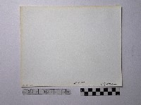 黃則修攝野柳地景藏品圖，第2張