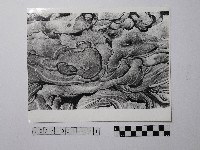 黃則修攝野柳地景藏品圖，第1張