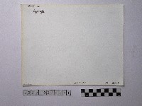 黃則修攝野柳地景藏品圖，第2張