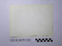 黃則修攝野柳地景藏品圖，第2張