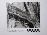 黃則修攝野柳地景藏品圖，第1張