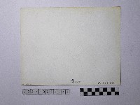 黃則修攝野柳地景藏品圖，第2張