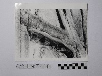 黃則修攝野柳地景藏品圖，第1張