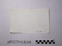 黃則修攝野柳地景藏品圖，第2張