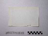 黃則修攝野柳地景藏品圖，第2張