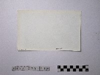 黃則修攝野柳地景藏品圖，第2張