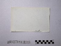 黃則修攝野柳地景藏品圖，第2張