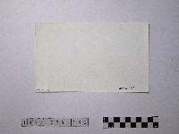 黃則修攝野柳地景藏品圖，第2張