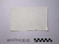 黃則修攝野柳地景藏品圖，第2張