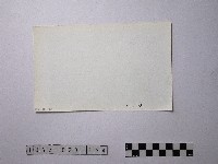 黃則修攝野柳地景藏品圖，第2張