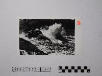 黃則修攝野柳地景藏品圖，第1張