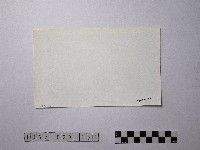 黃則修攝野柳地景藏品圖，第2張