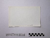 黃則修攝野柳地景藏品圖，第2張