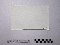 黃則修攝野柳地景藏品圖，第2張