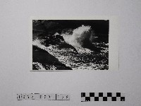 黃則修攝野柳地景藏品圖，第1張