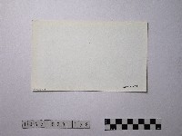 黃則修攝野柳地景藏品圖，第2張