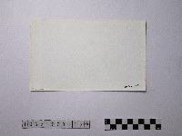 黃則修攝野柳地景藏品圖，第2張