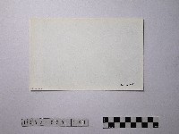 黃則修攝野柳地景藏品圖，第2張