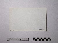 黃則修攝野柳地景藏品圖，第2張